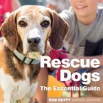  Rescue Dogs The Essential Guide